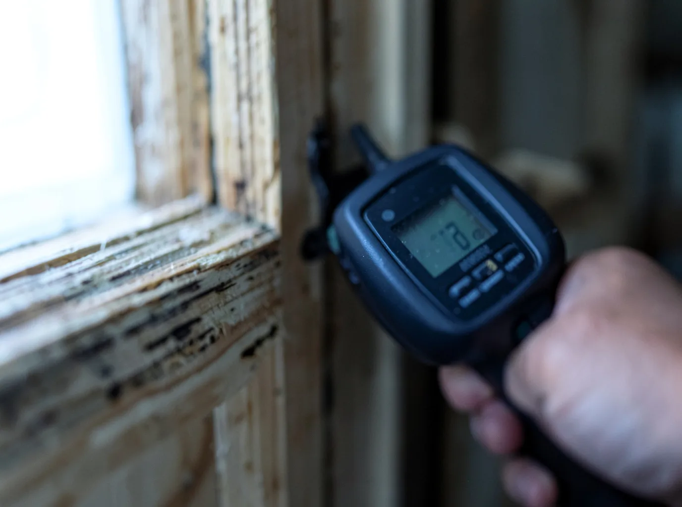 Moisture Inspection And Documentation in Morganton, GA